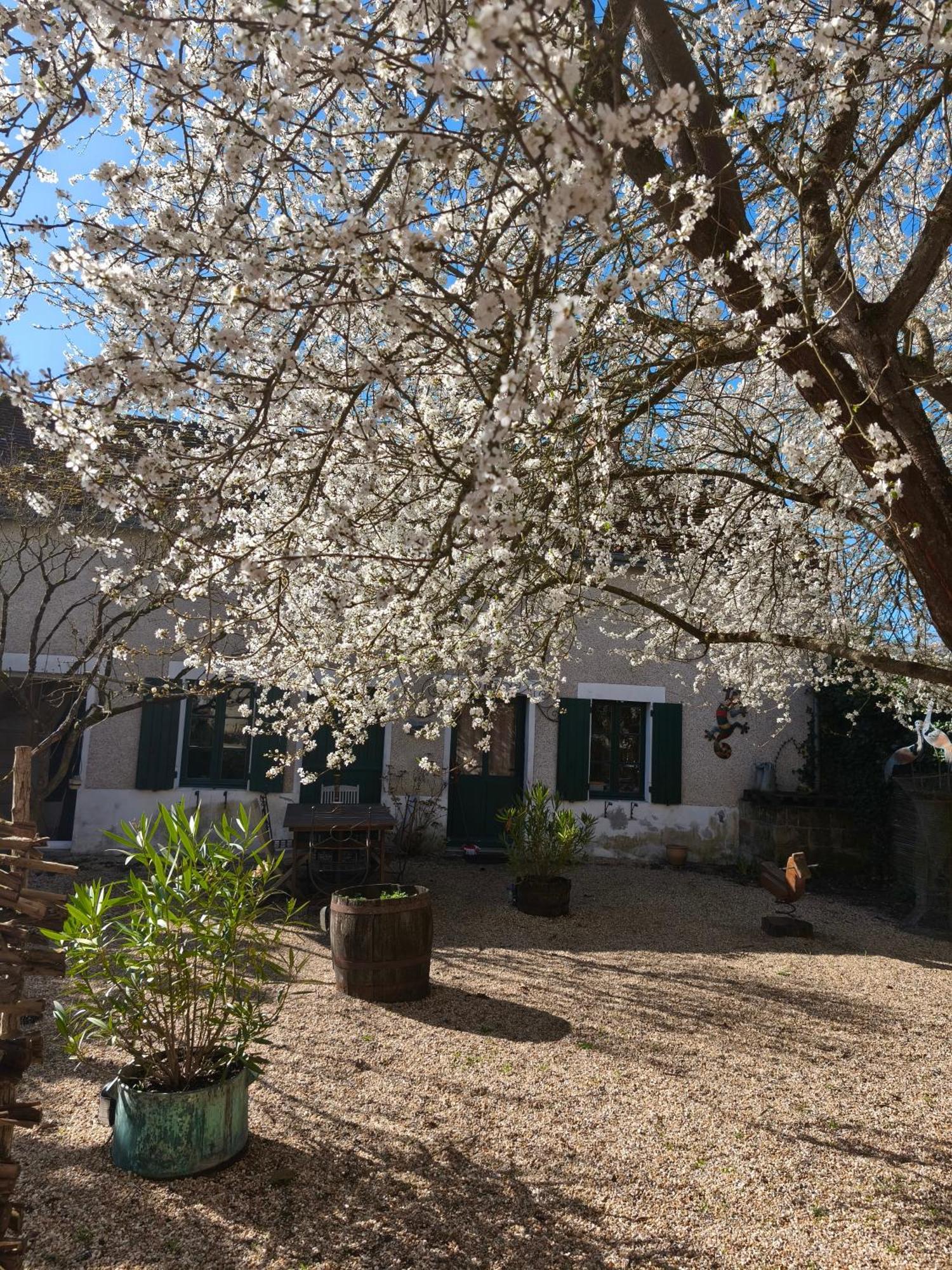Le Cottage Des Sablons Pres Du Zoo De Beauval Saint-Romain-sur-Cher Екстериор снимка